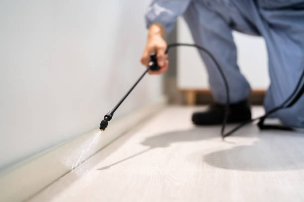 Bed Bug Pre-Treatment Preparation Assessment in Lamoni