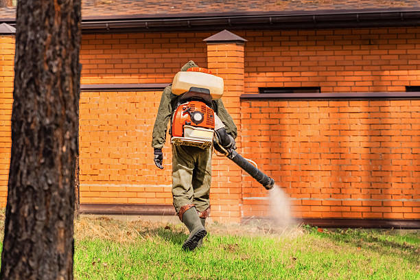 Bed Bug Clearance Verification and Documentation in Lamoni